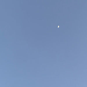 Meet your Posher, Jose